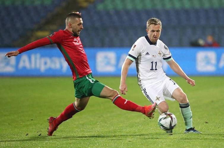 包含瑞典逆袭保加利亚,赢得欧洲杯四强资格的词条 包含瑞典逆袭保加利亚,赢得欧洲杯四强资格的词条