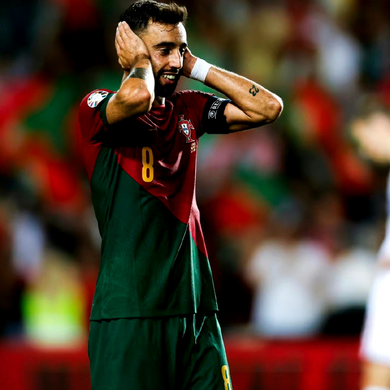 葡萄牙大胜卢森堡,积分榜上升 葡萄牙大胜卢森堡,积分榜上升