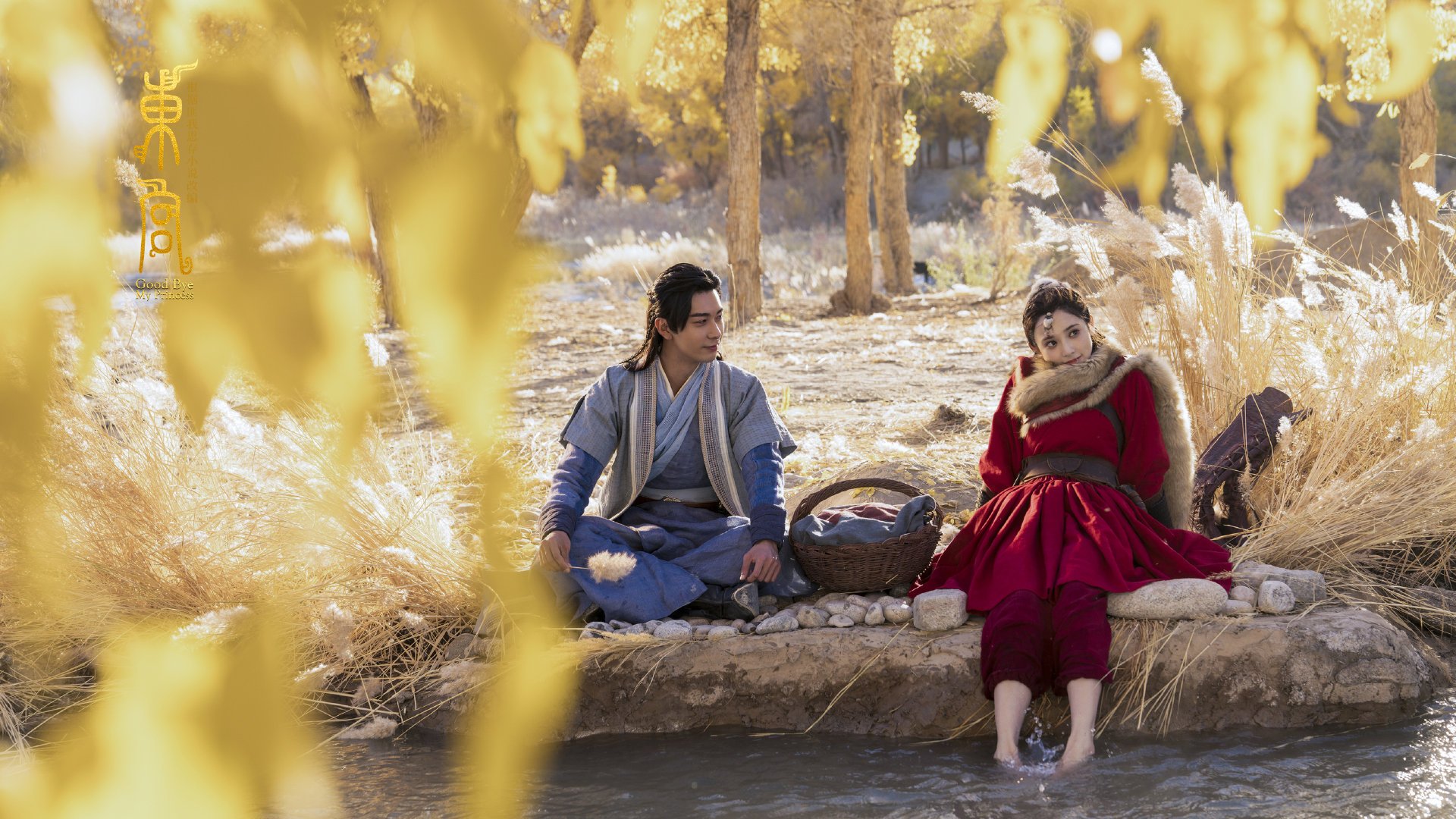 文班亚马稳定输出不掉线,魔术争冠战术如何力克灰熊?