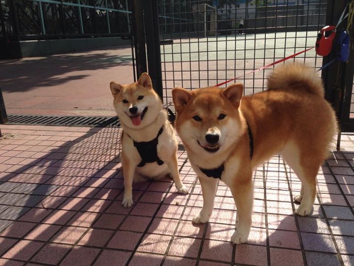 竞技巅峰,英超争冠白热化与公牛末节逆转浙江的体育启示