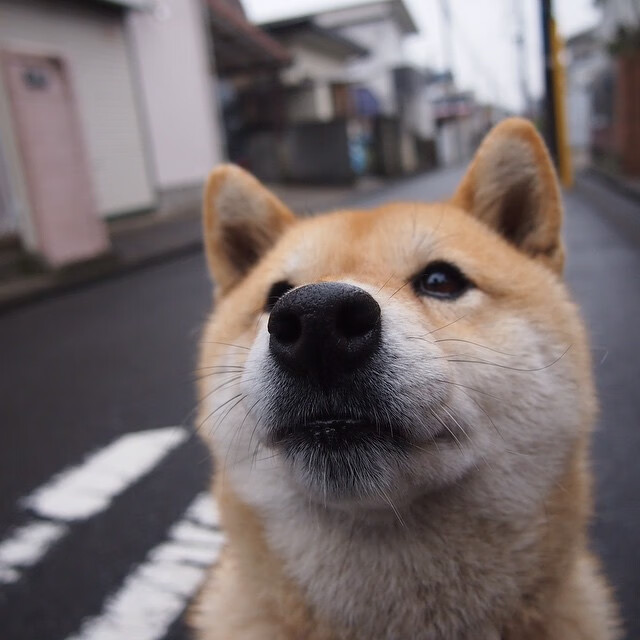 虚拟赛场上的双簧,当格列兹曼的足球灵魂激活土耳其篮球的关键节点