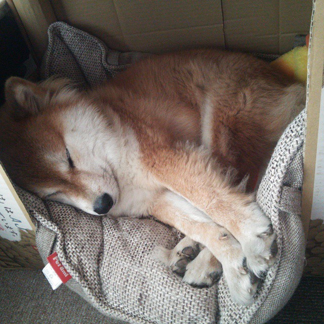 当足球的宇宙发生引力坍缩,曼联何以在世界杯焦点战中收割摩纳哥