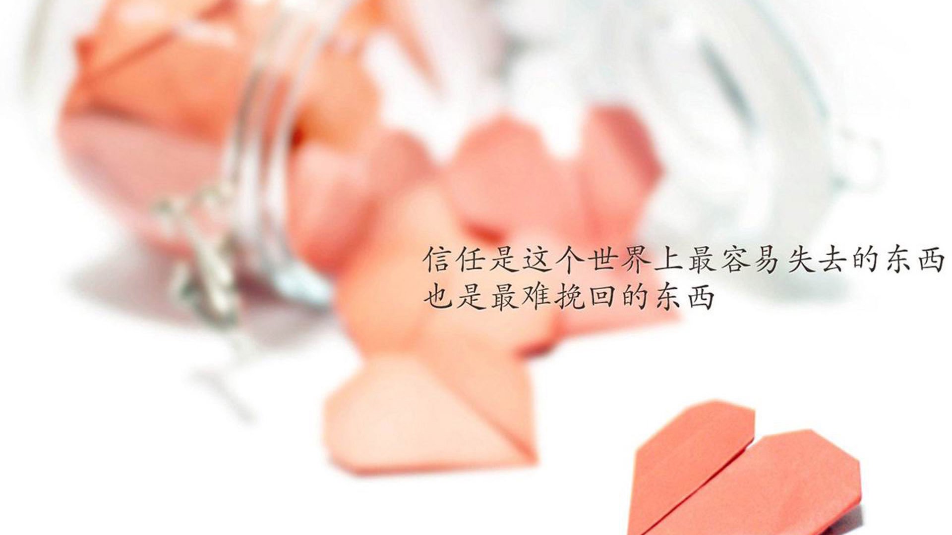 世界排名争夺战焦点战,土耳其4-0碾压洪都拉斯,展现绝对统治力