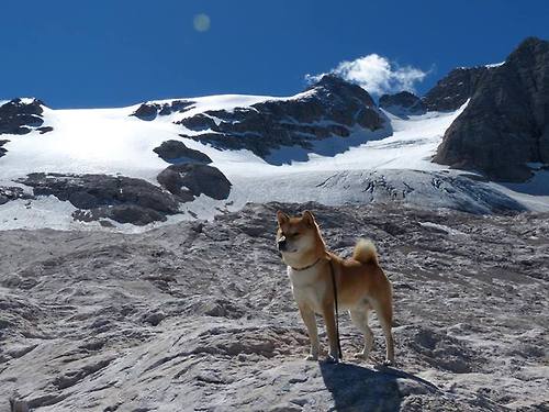 西亚卡姆关键先生显神威,森林狼强势压制吉林队奏凯